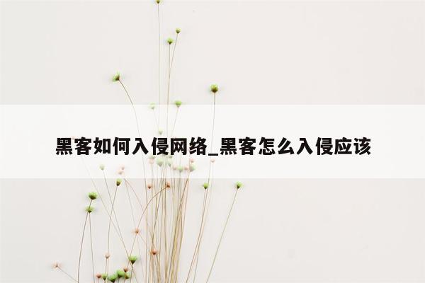 黑客如何入侵网络_黑客怎么入侵应该