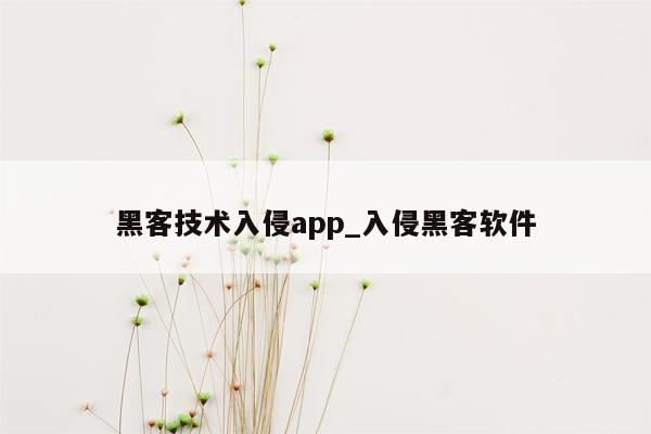 黑客技术入侵app_入侵黑客软件