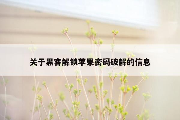 关于黑客解锁苹果密码破解的信息