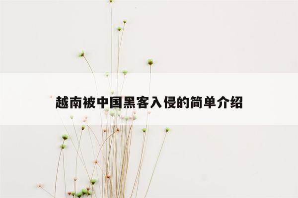 越南被中国黑客入侵的简单介绍