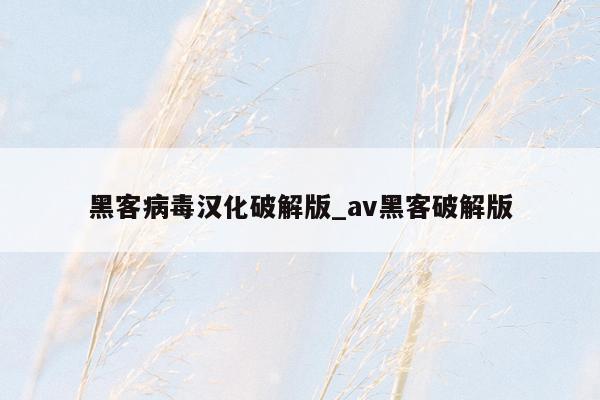 黑客病毒汉化破解版_av黑客破解版
