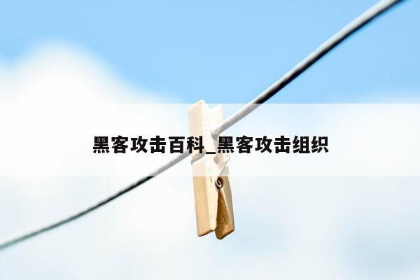 黑客攻击百科_黑客攻击组织