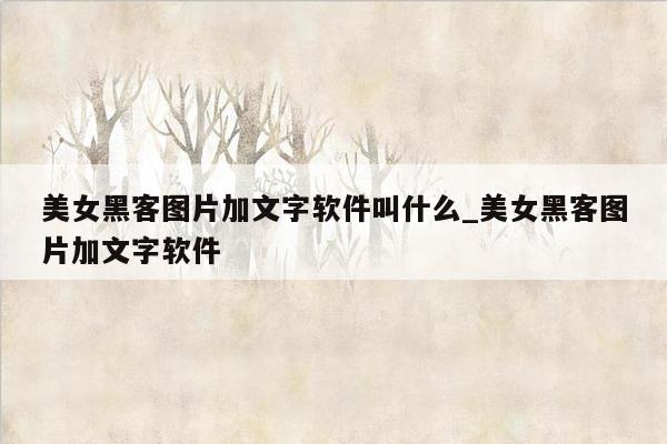 美女黑客图片加文字软件叫什么_美女黑客图片加文字软件