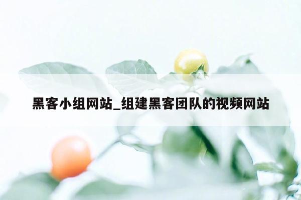 黑客小组网站_组建黑客团队的视频网站