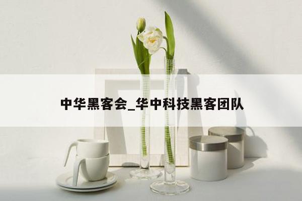 中华黑客会_华中科技黑客团队