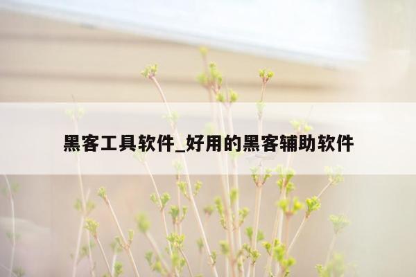 黑客工具软件_好用的黑客辅助软件