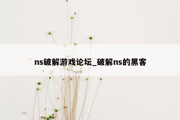 ns破解游戏论坛_破解ns的黑客