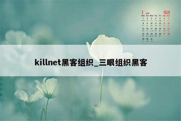 killnet黑客组织_三眼组织黑客