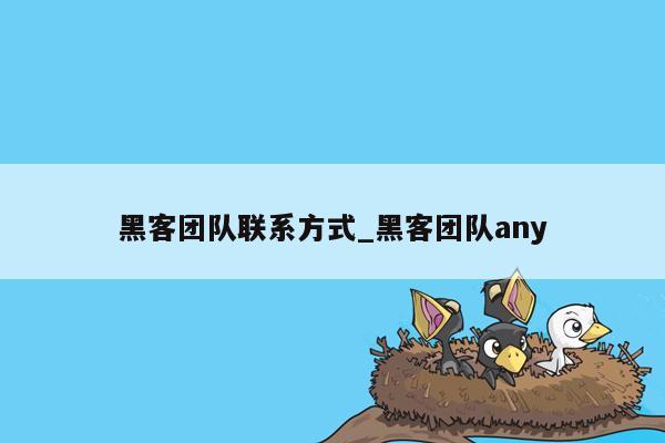 黑客团队联系方式_黑客团队any