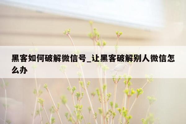 黑客如何破解微信号_让黑客破解别人微信怎么办