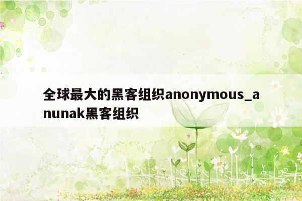 全球最大的黑客组织anonymous_anunak黑客组织