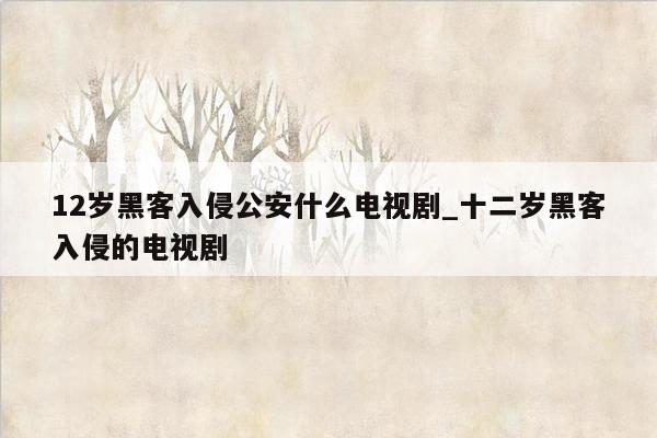 12岁黑客入侵公安什么电视剧_十二岁黑客入侵的电视剧