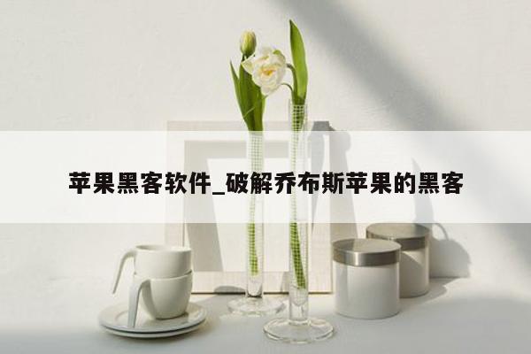 苹果黑客软件_破解乔布斯苹果的黑客