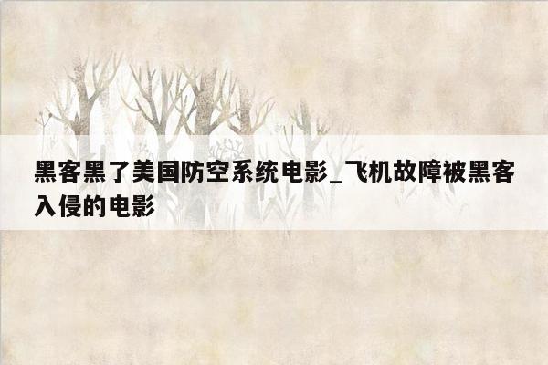 黑客黑了美国防空系统电影_飞机故障被黑客入侵的电影