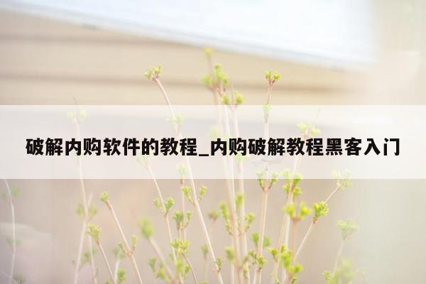 破解内购软件的教程_内购破解教程黑客入门