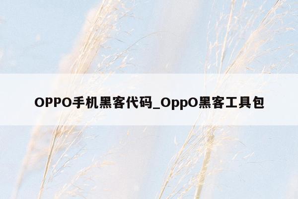 OPPO手机黑客代码_OppO黑客工具包