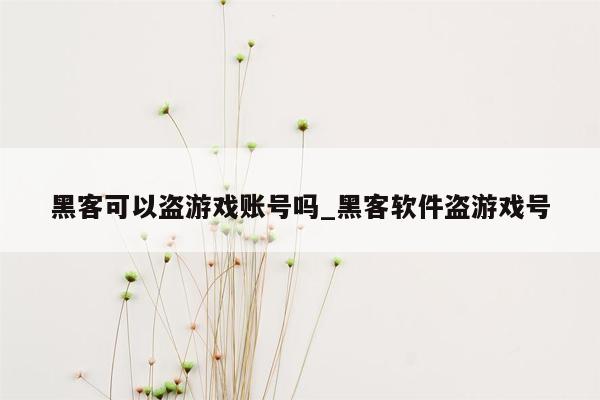 黑客可以盗游戏账号吗_黑客软件盗游戏号