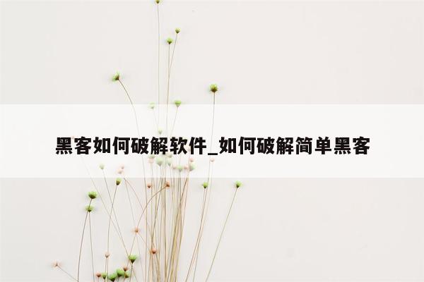 黑客如何破解软件_如何破解简单黑客