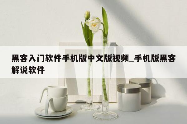 黑客入门软件手机版中文版视频_手机版黑客解说软件