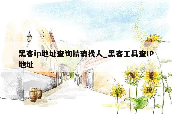 黑客ip地址查询精确找人_黑客工具查IP地址