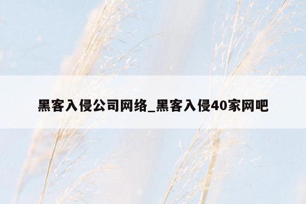 黑客入侵公司网络_黑客入侵40家网吧