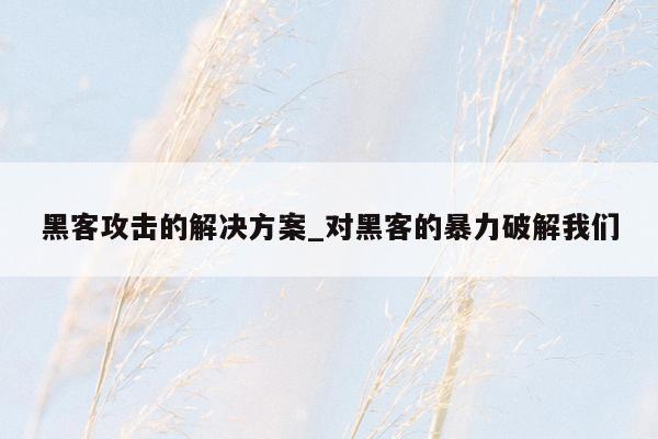 黑客攻击的解决方案_对黑客的暴力破解我们