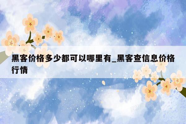 黑客价格多少都可以哪里有_黑客查信息价格行情