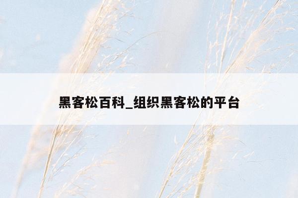 黑客松百科_组织黑客松的平台