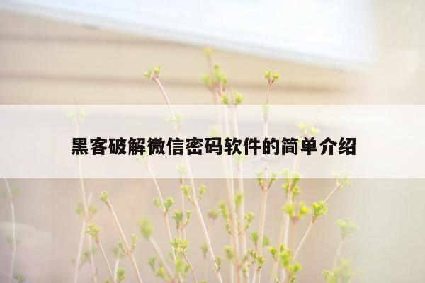 黑客破解微信密码软件的简单介绍