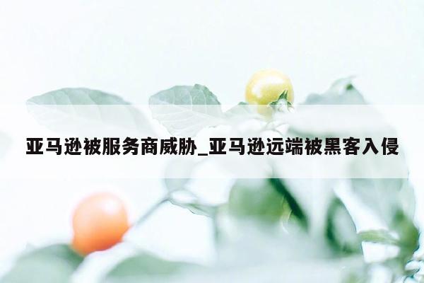 亚马逊被服务商威胁_亚马逊远端被黑客入侵