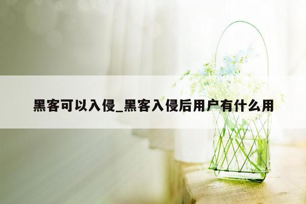 黑客可以入侵_黑客入侵后用户有什么用