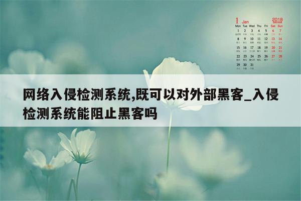 网络入侵检测系统,既可以对外部黑客_入侵检测系统能阻止黑客吗