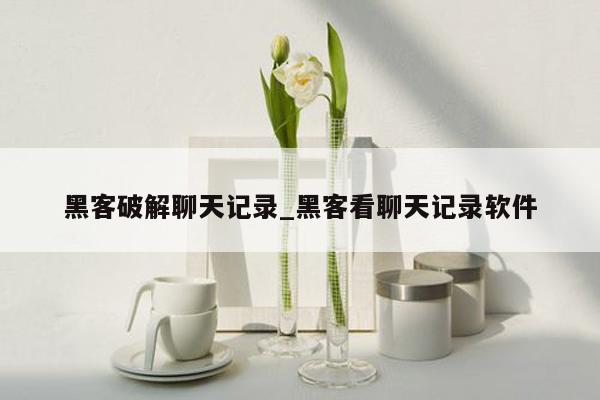 黑客破解聊天记录_黑客看聊天记录软件