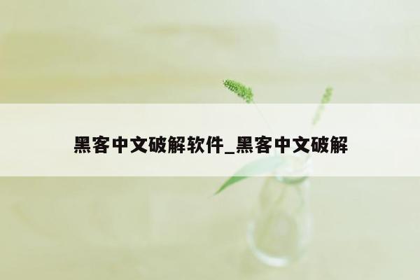 黑客中文破解软件_黑客中文破解