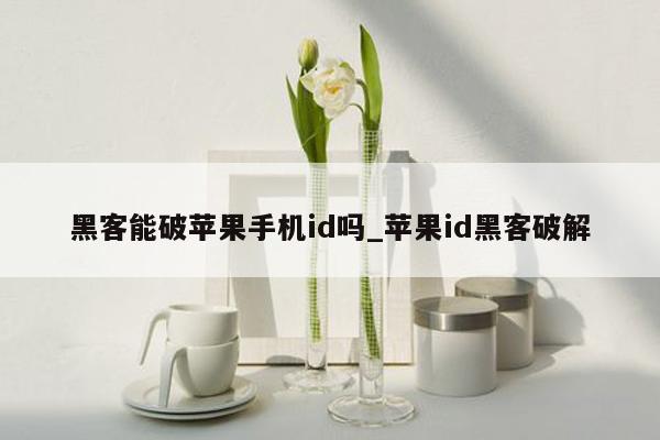 黑客能破苹果手机id吗_苹果id黑客破解