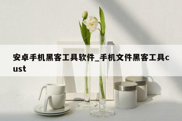 安卓手机黑客工具软件_手机文件黑客工具cust