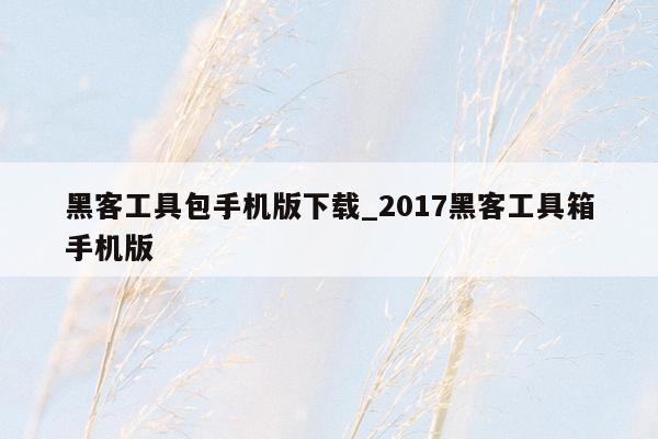 黑客工具包手机版下载_2017黑客工具箱手机版