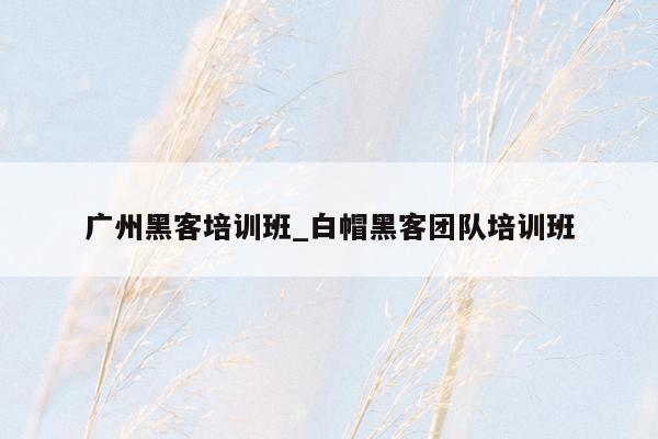 广州黑客培训班_白帽黑客团队培训班