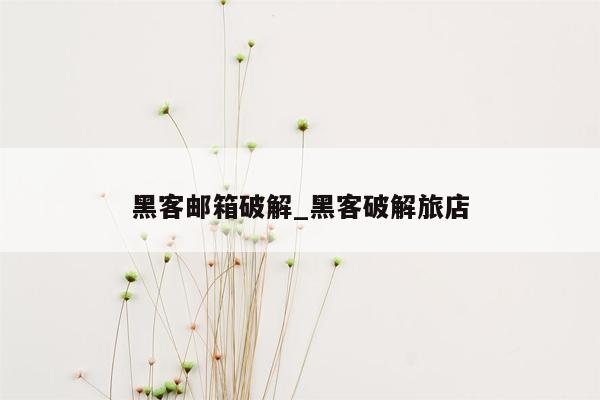 黑客邮箱破解_黑客破解旅店