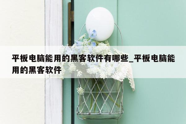平板电脑能用的黑客软件有哪些_平板电脑能用的黑客软件