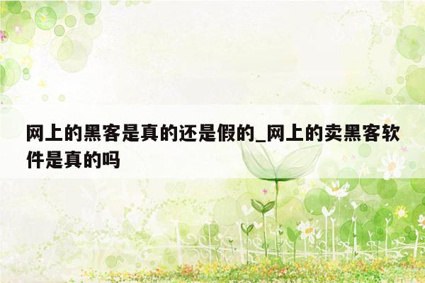 网上的黑客是真的还是假的_网上的卖黑客软件是真的吗