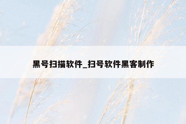 黑号扫描软件_扫号软件黑客制作