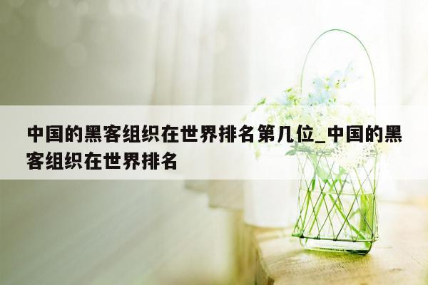 中国的黑客组织在世界排名第几位_中国的黑客组织在世界排名