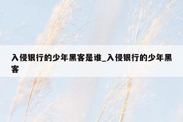 入侵银行的少年黑客是谁_入侵银行的少年黑客