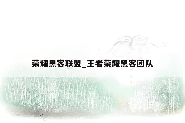 荣耀黑客联盟_王者荣耀黑客团队