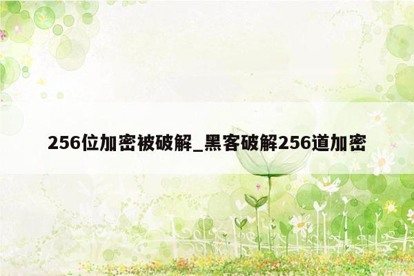256位加密被破解_黑客破解256道加密