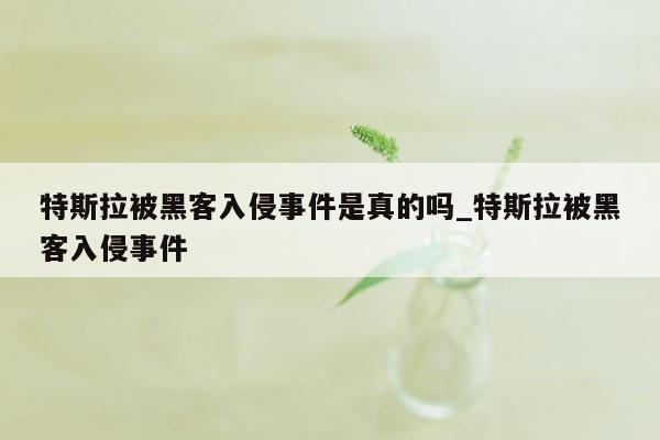 特斯拉被黑客入侵事件是真的吗_特斯拉被黑客入侵事件