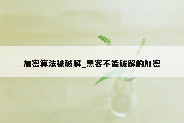 加密算法被破解_黑客不能破解的加密
