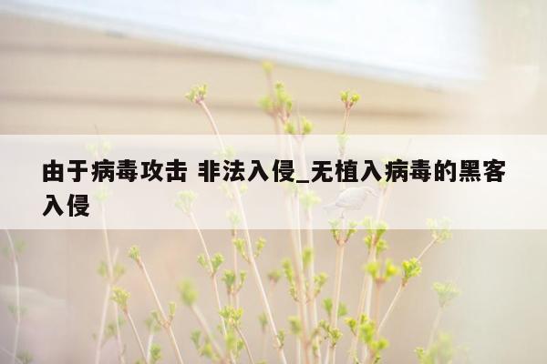 由于病毒攻击 非法入侵_无植入病毒的黑客入侵