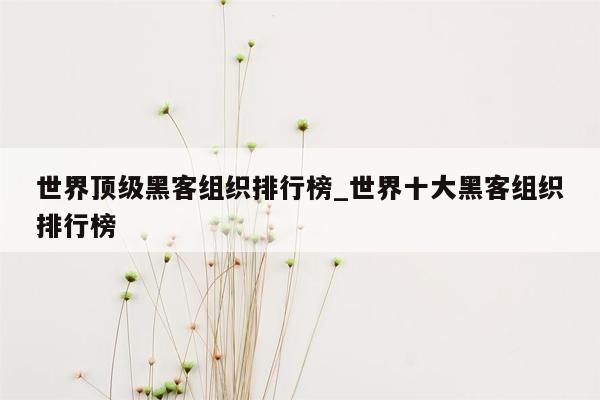 世界顶级黑客组织排行榜_世界十大黑客组织排行榜